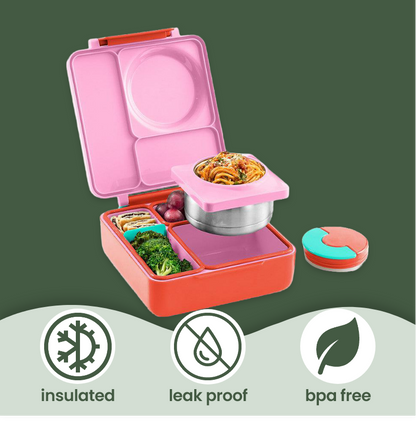 Insulated Lunch Box